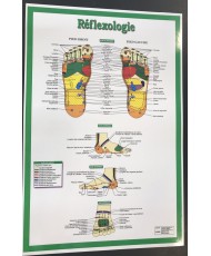 AFFICHE RÉFLEXOLOGIE PIEDS  12’’ X 18’’ (0CM X 46CM)