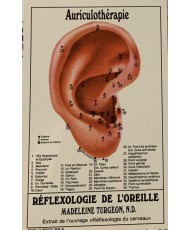CARTE DE RÉFLEXOLOGIE MAINS, PIEDS ET OREILLES 