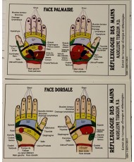 CARTE DE RÉFLEXOLOGIE MAINS, PIEDS ET OREILLES 
