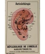 CARTE DE RÉFLEXOLOGIE MAINS, PIEDS ET OREILLES 