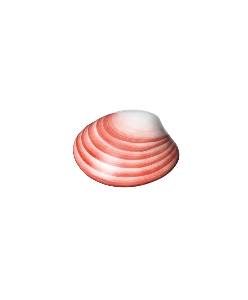 COQUILLAGE LAVA SHELL PORCELAINE 1 UNITÉ