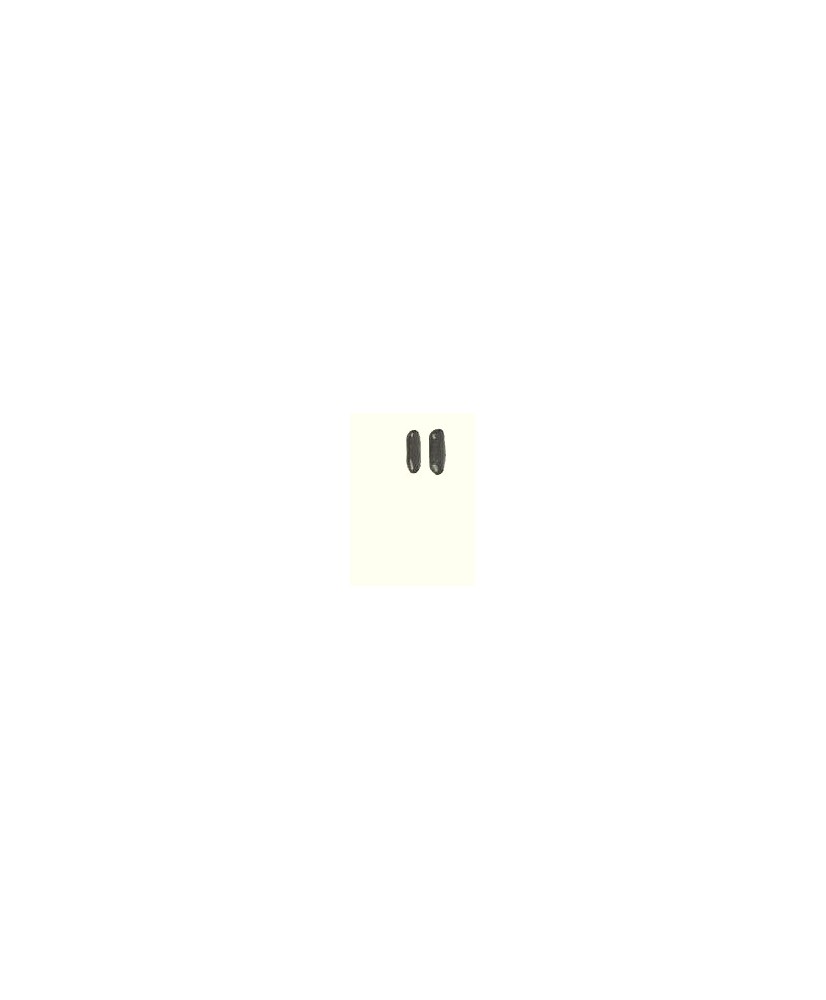 PIERRES DE BASALTE POUR TRIGGER POINT (2)