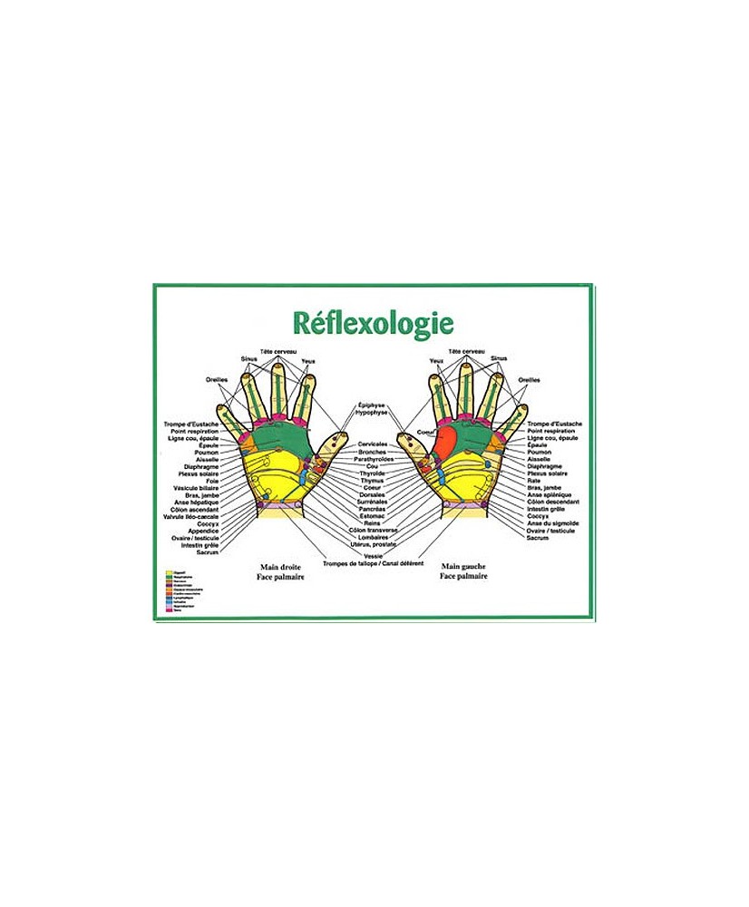 8.5 x 11 - Réflexologie des mains