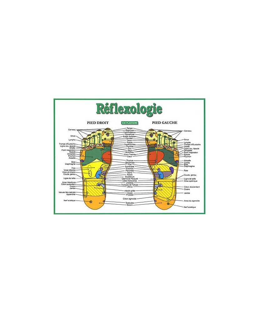 AFFICHE 8.5 x 11 - Réflexologie des pieds SABOURIN