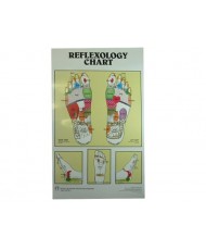 Aff. réflexo Pieds /...