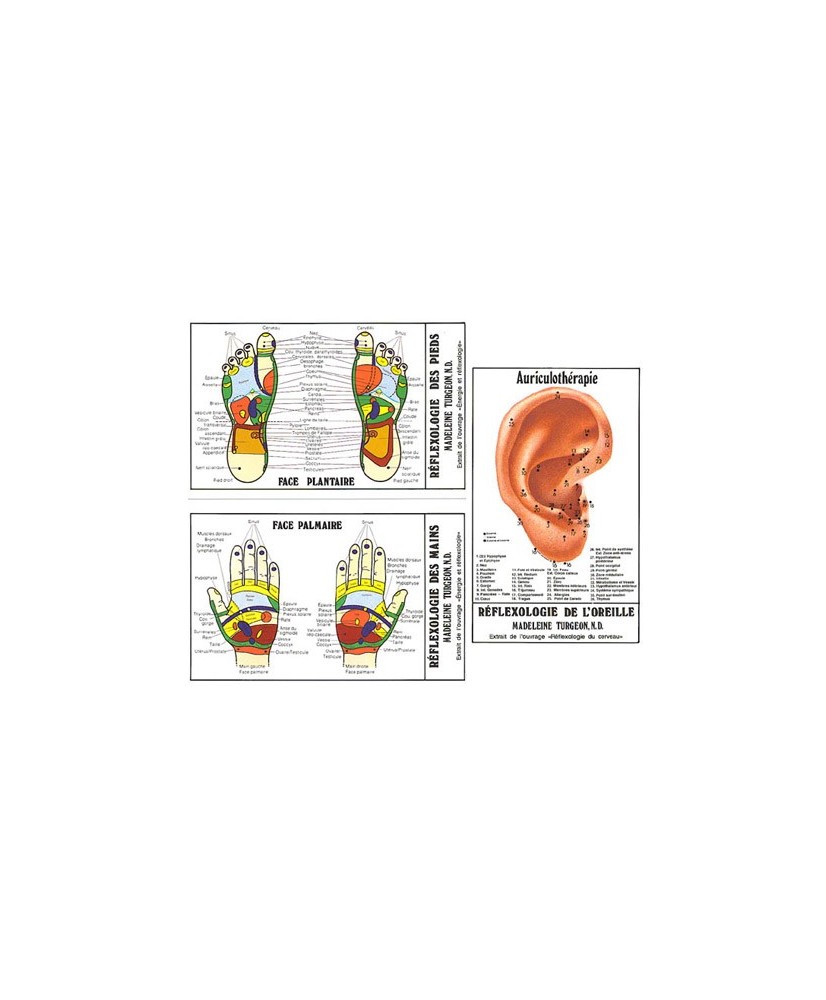 Cartes de réflexologie