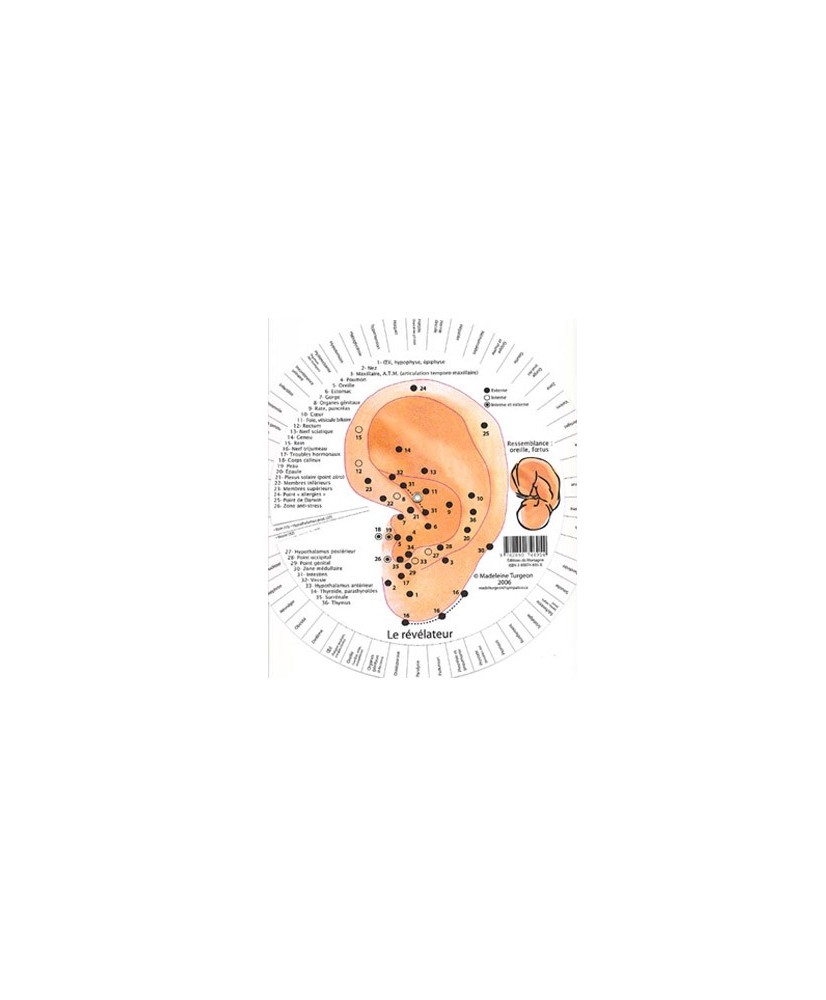 ROULETTE DE RÉFLEXOLOGIE DE L'OREILLE